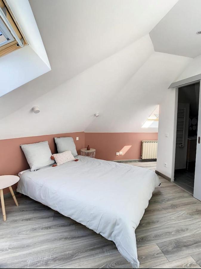 אמיינס Maison La Licorne, Spacieuse, Tout Equipee, 5 Chambres מראה חיצוני תמונה